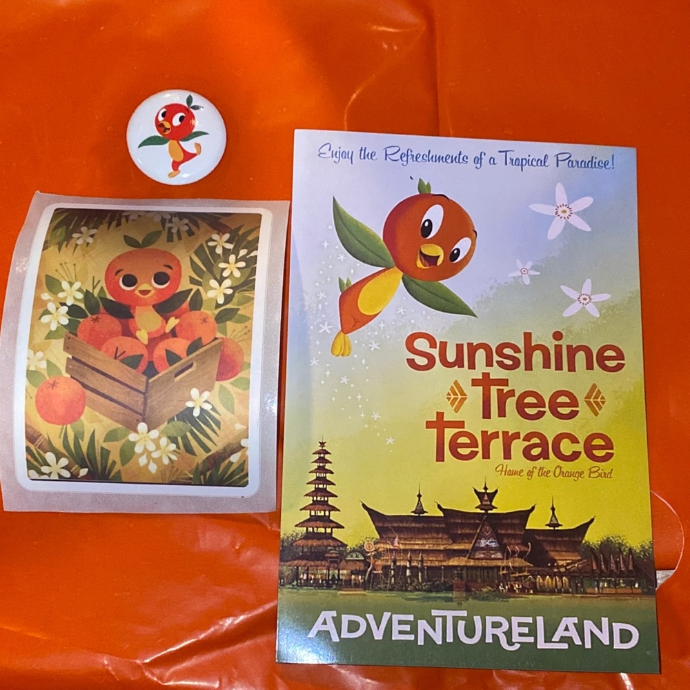 ORANGE  BIRD DISNEY PARK MAGNET PIN STICKER NEW